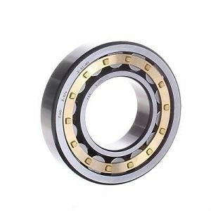 FAG (Schaeffler) NU232-E-XL-M1-C3 Cylindrical Roller Bearing For Cheap